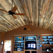 blue stain pine T&G ceiling