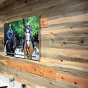 blue stain pine bank wall