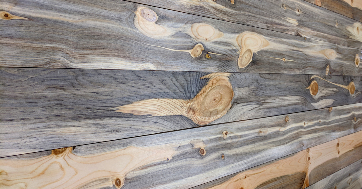 Blue Pine Wall Planks Paneling Beetle Kill Sustainable