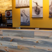 Blue stain pine wall Einstein Bagels