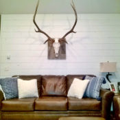 white shiplap accent wall
