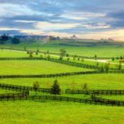 Reclaimed Kentucky Horse Fencing