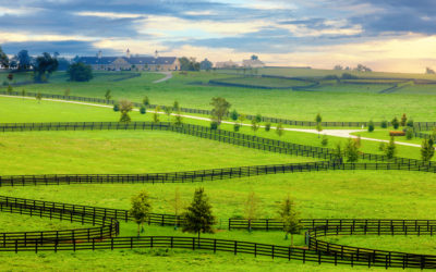 Reclaimed Kentucky Oak Horse Fencing