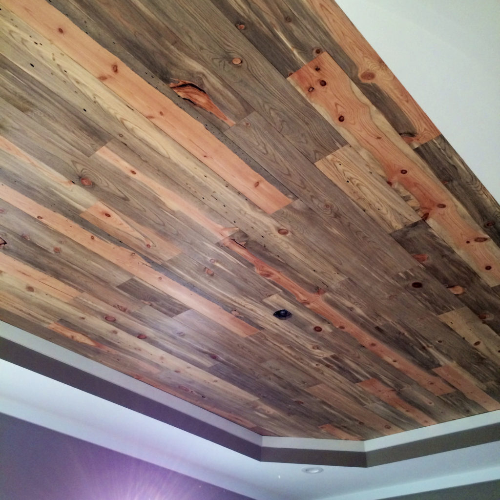 Beetle Kill Pine Ceilings A Look Into Our BlueStain Ceiling Planks