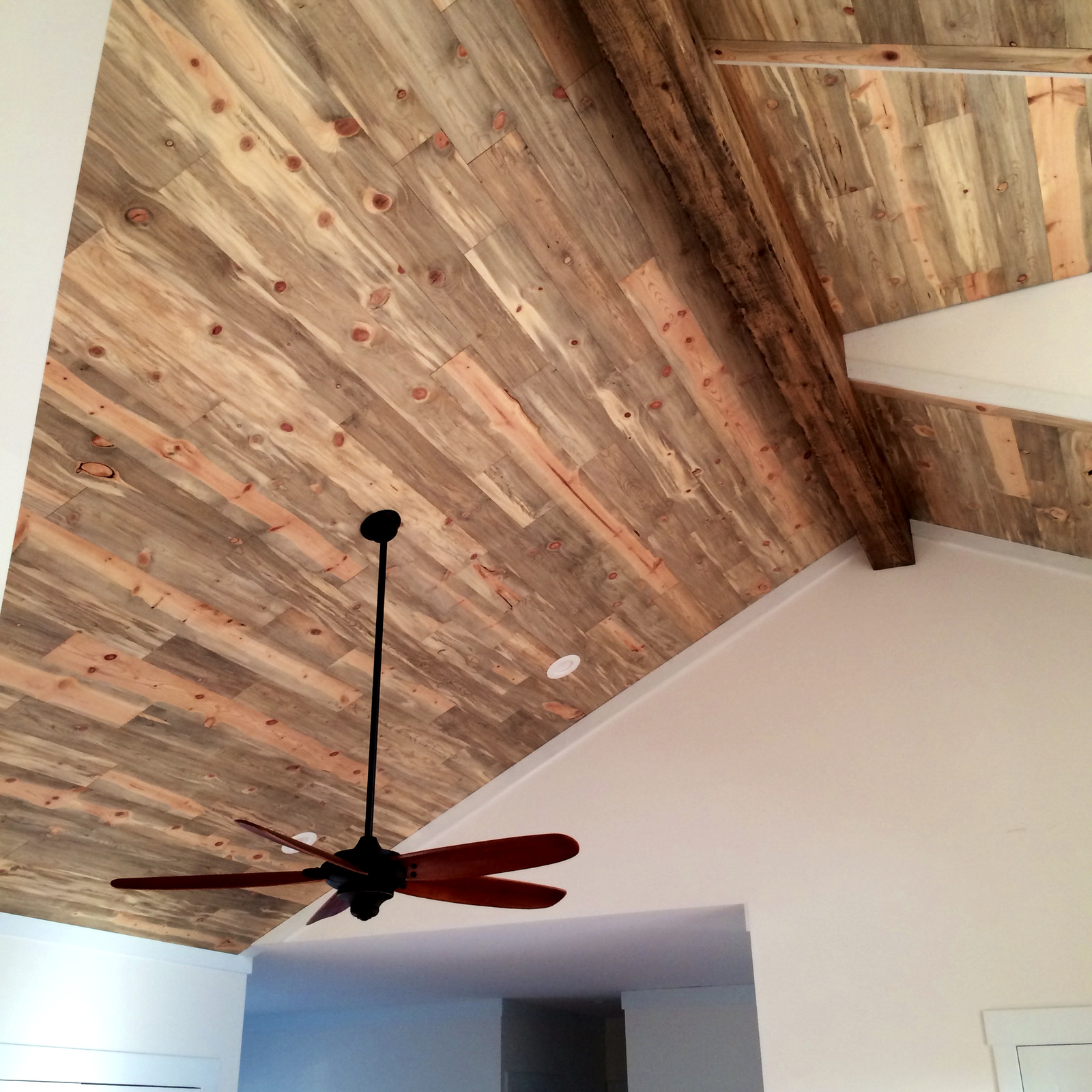 Beetle Kill Pine Ceilings Blue Stain