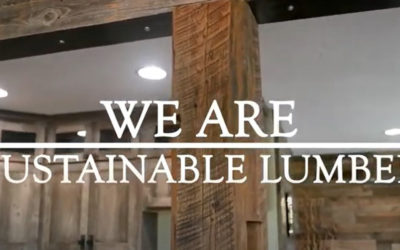 We are Sustainable Lumber