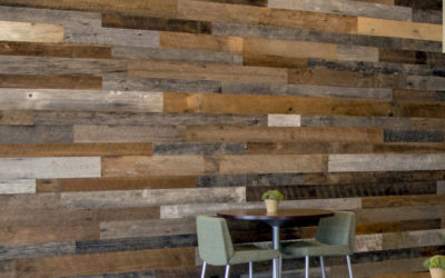Eco-Friendly Sustainable Wood Walls & Ceilings