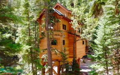 Colorado Tree House Project