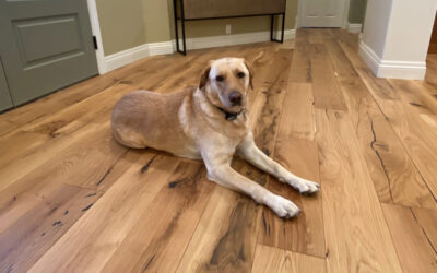 Choosing the right hardwood floor for pet owners