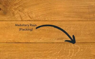 What are the ribbon like streaks in Oak?